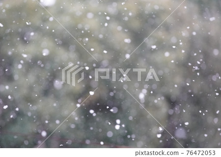 Snow is fluttering against the background of trees Snow is fluttering against the background of trees 76472053