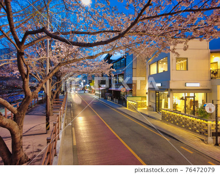 Night view of spring oncheoncheon stream, Busan, South Korea, Asia. Night view of spring oncheoncheon stream, Busan, South Korea, Asia. 76472079