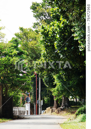 沖繩的風景(宜野座村松田福木路) 沖繩的風景(宜野座村松田福木路) 76472968