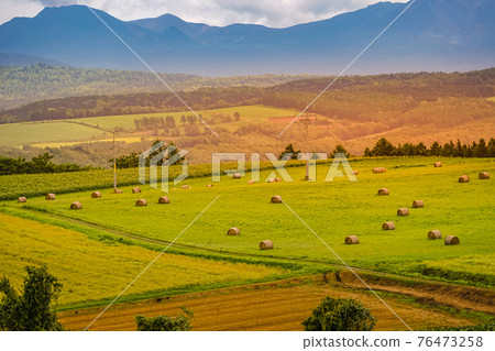 Image of the prairie of Hokkaido 76473258