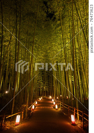 Kyoto Arashiyama Hanatouro Bamboo Forest Path 2020 Kyoto Arashiyama Hanatouro Bamboo Forest Path 2020 76473623