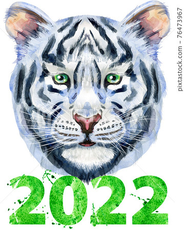 Colorful white smiling tiger with number two thousand and twenty two. Wild animal watercolor illustration. 76473967