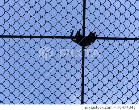Silouhette of a cat sleeping in a high place. Abstract background. Silouhette of a cat sleeping in a high place. Abstract background. 76474345
