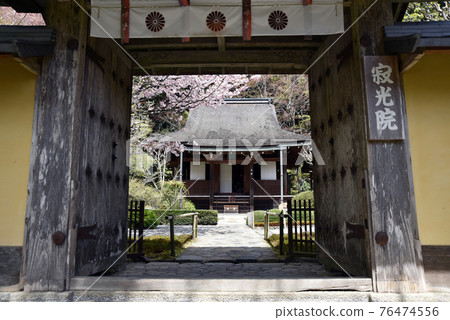 Spring Jakkoin，從京都市大原的山門俯瞰正殿 76474556