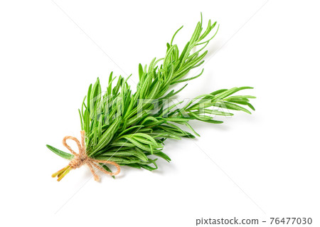 Branch of fresh rosemary isolated on white background. Branch of fresh rosemary isolated on white background. 76477030