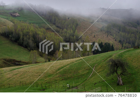 Clouds over the Carpathian Mountains, near Magura Village, Transylvania, Romania. Clouds over the Carpathian Mountains, near Magura Village, Transylvania, Romania. 76478810