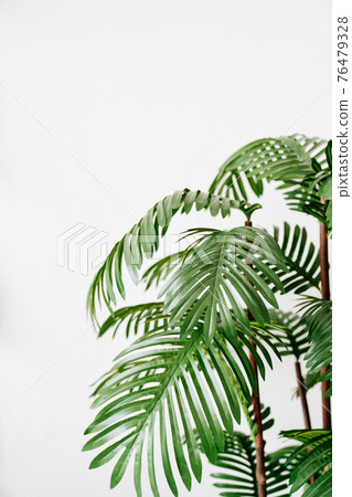 date palm. houseplant in interior. artificial palm tree in pot. 76479328