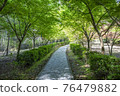 Cobblestone path in nature 76479882