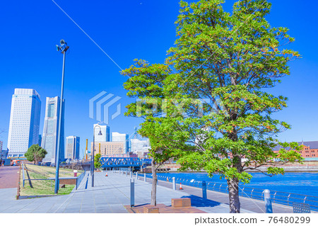[Cityscape of Kanagawa] Buildings around Minato Mirai, Yokohama 76480299