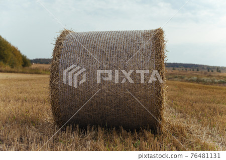 Bales of hay on a farm with summer blue sky background 76481131