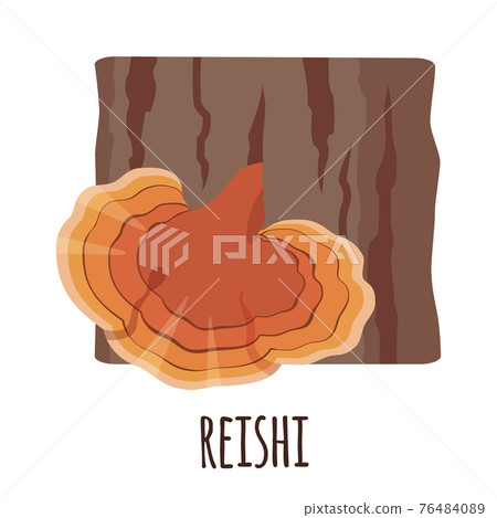 Reishi mushroom icon in flat styte isolated on white background. Reishi mushroom icon in flat styte isolated on white background. 76484089