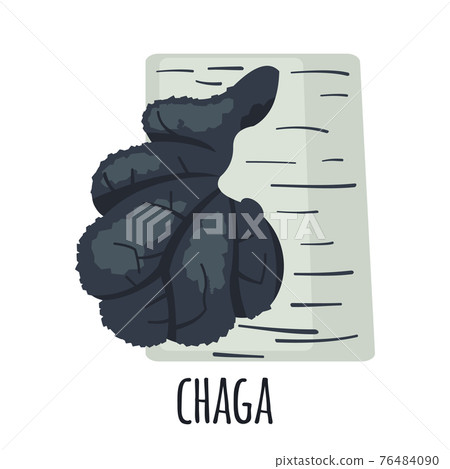 Chaga mushroom icon in flat style isolated on white background. 76484090