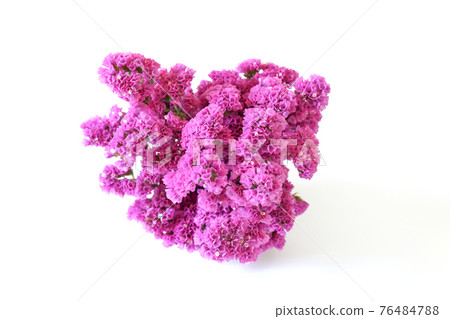 雕像的花束 雕像的花束 76484788