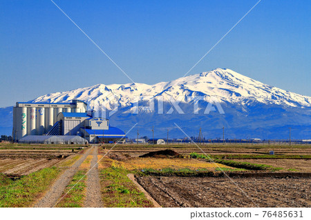 Country Elevator And Mt Chokai Stock Photo