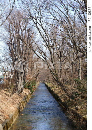 Tamagawa water flowing through Akishima city Tamagawa water flowing through Akishima city 76486224