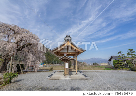 大光院 大光院 76486479