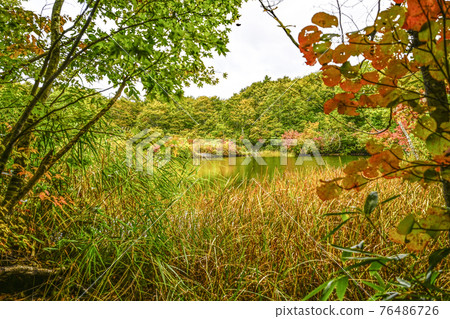 Kamaike (Shinshu Otari Village) in early October Kamaike (Shinshu Otari Village) in early October 76486726