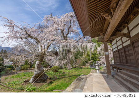 Chomyo-ji Temple Chomyo-ji Temple 76486851