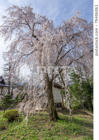長明寺 76486861