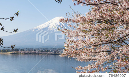 Kawaguchiko in spring 76486907