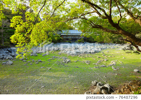 Rakujuen Rakujukan and Obamaike Momiji's young leaves Rakujuen Rakujukan and Obamaike Momiji's young leaves 76487296