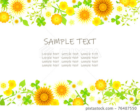Illustration frame of Gazania and yellow flowers 76487550