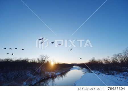 棲息起重機(北海道) 棲息起重機(北海道) 76487804