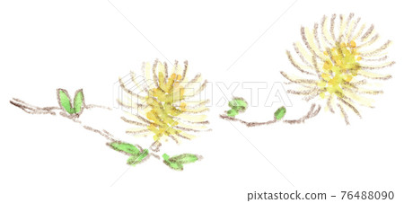 Neat and beautiful spring flowers: watercolor illustration of witch hazel 76488090