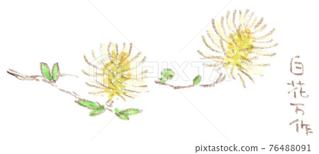 Neat and beautiful spring flowers: watercolor illustration of witch hazel Neat and beautiful spring flowers: watercolor illustration of witch hazel 76488091