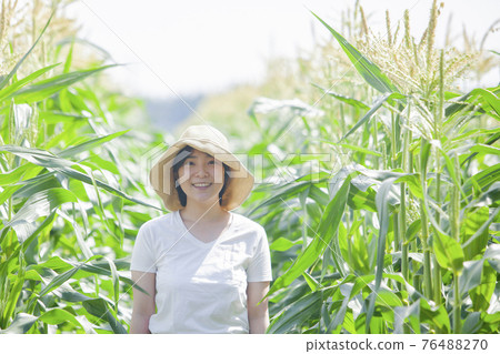 Corn field farmer woman Corn field farmer woman 76488270