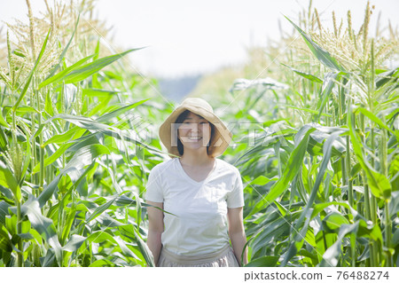 Corn field farmer woman 76488274