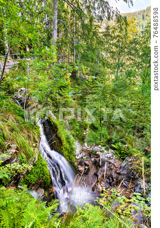 Fahler waterfall in the Black Forest, Germany 76488598