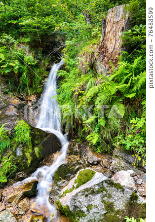 Fahler waterfall in the Black Forest, Germany Fahler waterfall in the Black Forest, Germany 76488599
