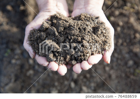 Touch the soil with your hands Touch the soil with your hands 76488659