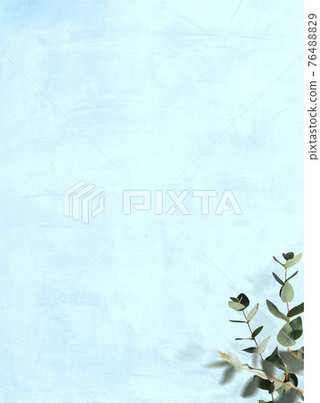 Refreshing image background composed of blue walls and eucalyptus leaves-there are multiple variations Refreshing image background composed of blue walls and eucalyptus leaves-there are multiple variations 76488829