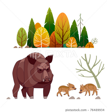 Family of wild boar, sus scrofa, with adult hairy mother and little piglets grazing in spring nature. cute piglets strung together. Wildlife forest animals. Cartoon vector illustration 76489934