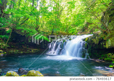 新鮮的綠色蓼科大瀧【長野縣】 新鮮的綠色蓼科大瀧【長野縣】 76493617