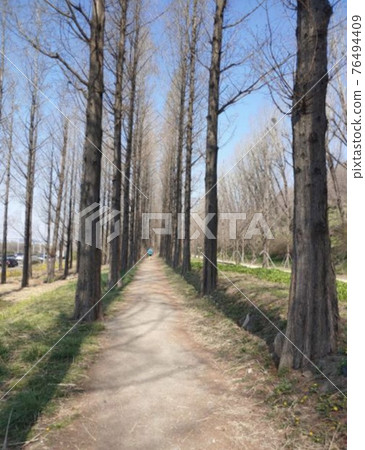 風景 風景 76494409