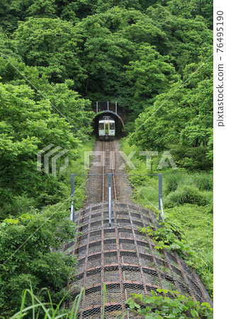 從新潟縣小雞谷市JR飯山線綠色隧道中出現的電車 76495190