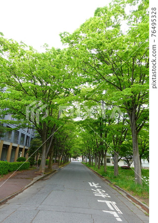 Former Yonezawa High School of Technology Main Building Yamagata University Faculty of Engineering Keyaki Namiki Former Yonezawa High School of Technology Main Building Yamagata University Faculty of Engineering Keyaki Namiki 76495328