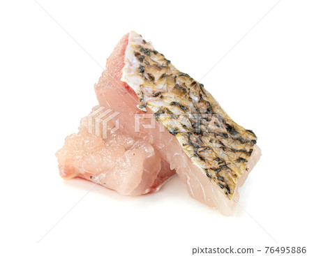 barramundi or seabass fish sliced isolated on white background barramundi or seabass fish sliced isolated on white background 76495886