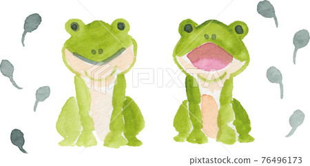 Watercolor frog and tadpole 76496173