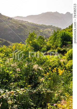 Typical sicilian landscape in the Nebrodi park near the Catafurco waterfalls Typical sicilian landscape in the Nebrodi park near the Catafurco waterfalls 76496513