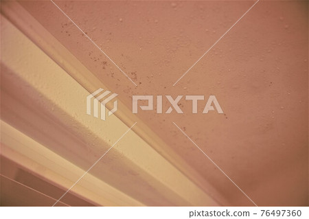 Mold on the bathroom ceiling Mold on the bathroom ceiling 76497360