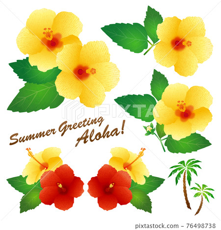 Hibiscus (yellow) 76498738