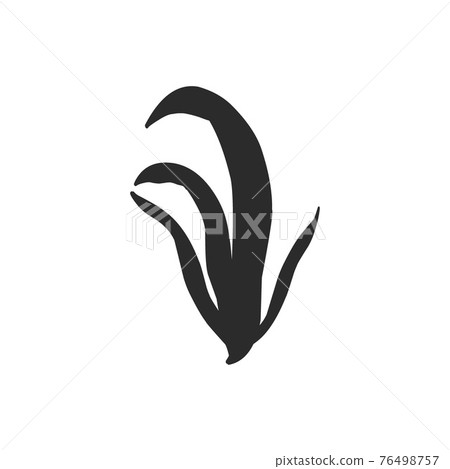 silhouette contour plants seaweed algae aquatic water plant, grass for aquarium. isolated vector hand drawn illustration in doodle style. silhouette contour plants seaweed algae aquatic water plant, grass for aquarium. isolated vector hand drawn illustration in doodle style. 76498757