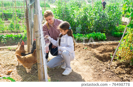 girl with her mom feeding hen girl with her mom feeding hen 76498778