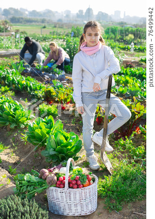 Portrait of a standing teenage girl leaning on a shovel in the vegetable garden 76499442