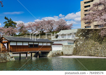 福井縣廳,護城河櫻花季春 福井縣廳,護城河櫻花季春 76499574