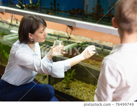 Saleswoman catching fish for boy 76499749